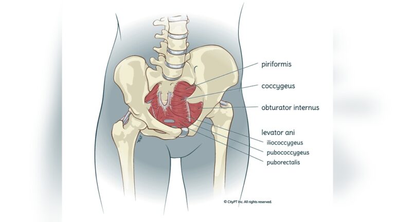 Is Pelvic Floor Therapy Covered by Insurance
